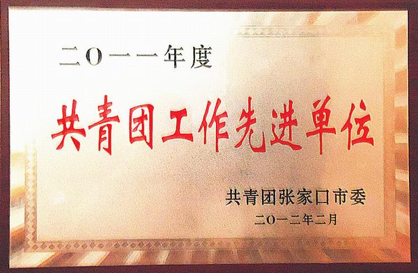热烈祝贺开元官网团委获得“五四红旗团委”荣誉称号