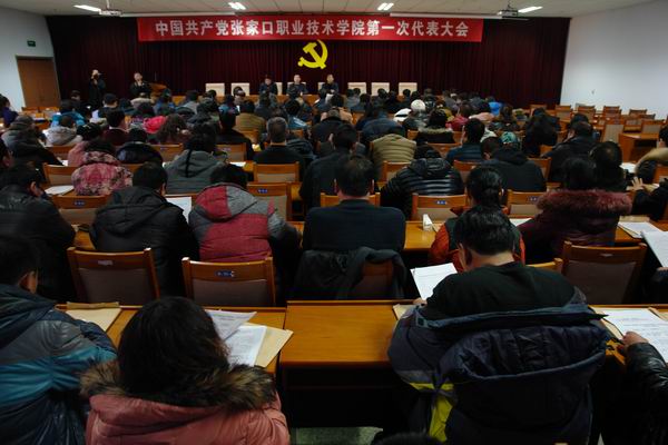 开元官网召开第一次党代会预备会议