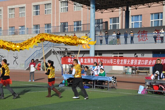 张家口高校首届龙狮表演决赛在开元官网成功举办