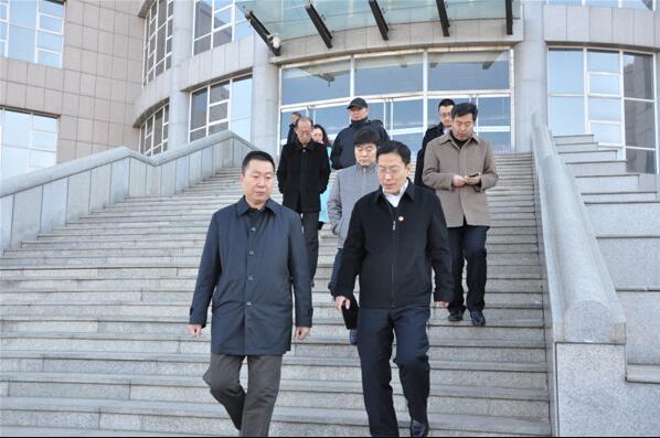 陈冲副市长一行到KY开元集团官网调研