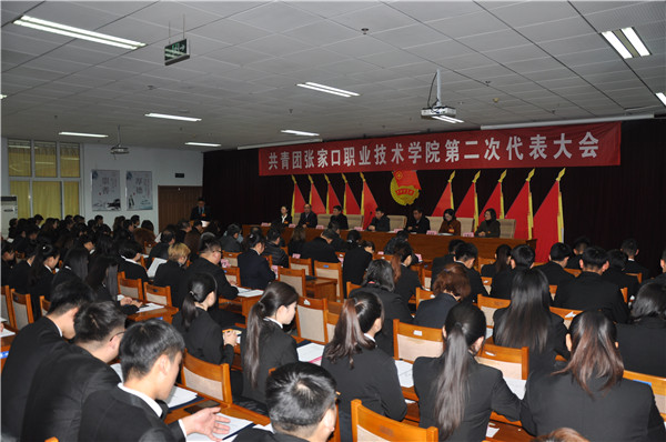 共青团KY开元集团官网第二次代表大会召开