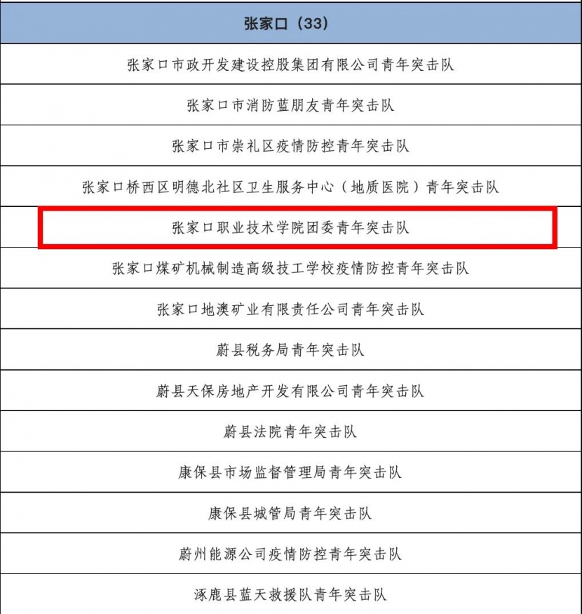 喜报 | KY开元集团官网团委青年突击队被共青团河北省委认定为“河北青年突击队”